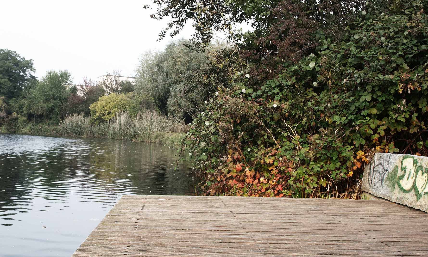 Holzterrasse am Ufer und Uferbepflanzung