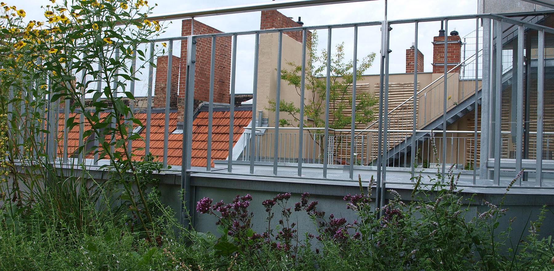 Blick von einer Terrasse mit Stauden durch Metallgeländer zur anderen mit Holzspalieren und Baum