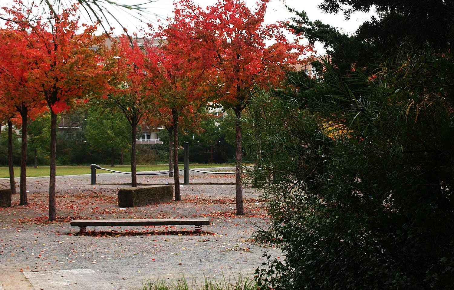 Herbstlicher Zierbirnenhain mit Spielelementen wie Wackelbrücke und Wackelbalken und Weiden