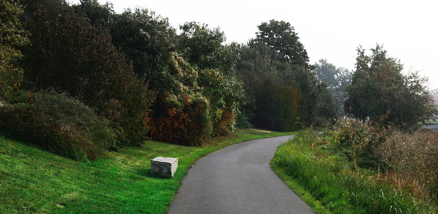 asphaltierter Uferweg mit Granitblöcken durch naturnahe Bepflanzung als Bänke